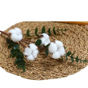 Flores Secas Artificiales de Algodón QIHAO, 9 Cabezas, Jarrón Cilíndrico Blanco, Decoración para Sala de Estar, Decoración del Hogar - Product Image 3