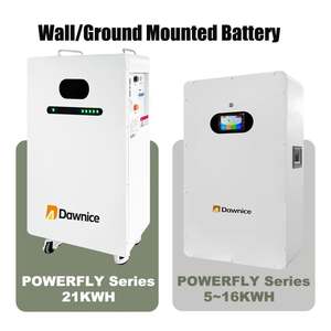 Dawnice mejor bajo voltaje LiFePo4 Powerwall 51,2 V 10Kwh 15kwh 20kwh 200Ah 300Ah 400Ah batería de litio de almacenamiento de energía montada en la pared - Product Image 2