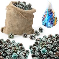 Magisches Feuer Natürliche Tannenzapfen für Abschlussfeier, Neujahr, Erntedankfest, Ostern, Partys, Garten, Camping, Weihnachtsdekoration, Feuerpulver