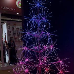 다이나믹 모델링 조명 장식 정원 경관 조명 변환 3D 포인트 컨트롤 불꽃 조명 - Product Image 5