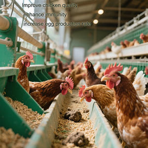 Aditivo alimentario de <span class=keywords><strong>betaína</strong></span>: alivio superior del estrés por calor para ganado y aves de corral - Product Image 4