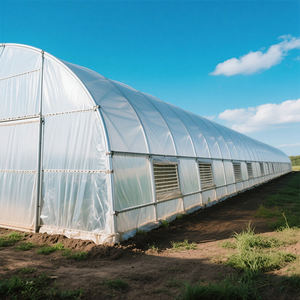 वेंटिलेशन सिंचाई प्रणाली और सौर के साथ वाणिज्यिक एकल-अवधि कृषि दीर्घवृत्त ट्यूब ग्रीनहाउस - Product Image 2