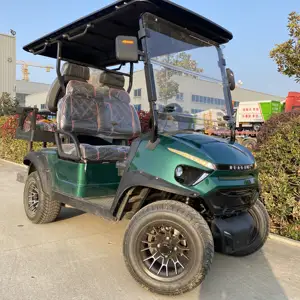 Made In China Club Car Golf Cart Custom New Golf Carts 2/4/6/8 Seater With Folded Back Seat