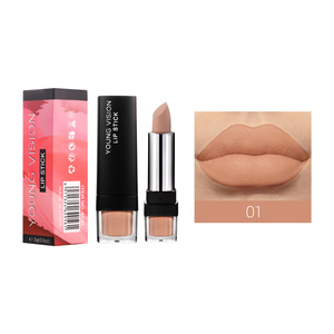 Giovane visione trucco transfrontaliero 12 colori rossetto singolo velluto Non appiccicoso <span class=keywords><strong>crema</strong></span> <span class=keywords><strong>per</strong></span> le <span class=keywords><strong>labbra</strong></span> con finitura opaca rossetti di lunga durata - Product Image 5