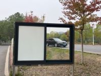 Película de Privacidad Esmerilada de PVC Blanco Mate Moderna y Popular, Rollo Decorativo Adhesivo Estático Opaco para Ventanas, Diseño de 10mil