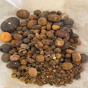 Cápsulas de cálculos bezoares de ganado de alta calidad para cosméticos, salud de la vejiga intestinal, suministro al por mayor, el mejor <span class=keywords><strong>precio</strong></span> de mercado - Product Image 4