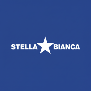 Foret diamanté pour grès cérame marbre et béton 6mm 8mm 5mm tailles de forets WHITE STAR 067C10 tige hexagonale - Product Image 1