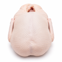 할랄 냉동 발 없는 오리 통살(내장 제거) 대량 도매 흰오리 2.0-2.5kg 수출용 IQF 가금류 공급업체