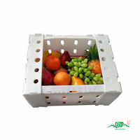 Caisses en plastique ondulé PP personnalisées pour fruits et légumes