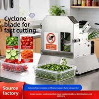 Hoge Efficiëntie Elektrische Multifunctionele RVS Fruit- & Groentesnijder Inclusief Aardappelrasp Motor Kerncomponent