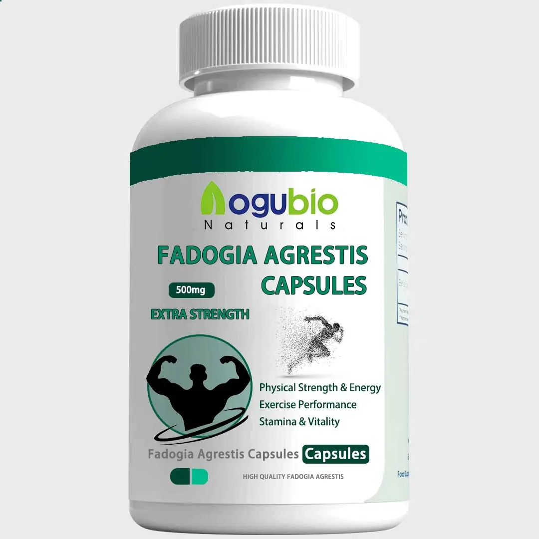 Kruidensupplement 500Mg Fadogia Agrestis Capsules