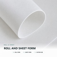 Feutre aiguilleté pour projets géotextiles – Tissu non tissé en polyester personnalisé (GSM) en rouleau pour acheteurs en gros