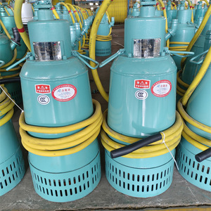 Pompe submersible antidéflagrante BQS25-10-2.2 2,2 kW 380 V 660 V certifiée sécurité charbon - Product Image 2
