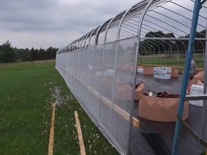 Invernadero comercial usado agrícola Oneone de un solo palmo en América - Product Image 4