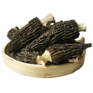 Funghi Morchella Essiccati Biologici di Alta Qualità in Confezione Grande - Product Image 1