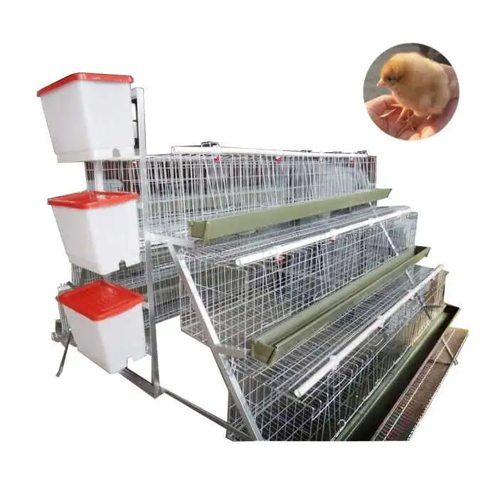 High quality poultry cages for layer chickens design layer chicken cages chicken layer cage
