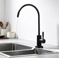 Robinet de cuisine moderne noir mat en acier inoxydable 304, accessoires de purificateur d'eau, robinet d'eau à 1 voie, robinet d'eau RO certifié NSF