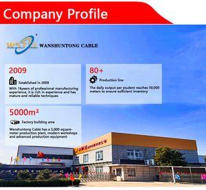 Câble électrique flexible en silicone à haute température résistant à la chaleur 10-28 AWG pour <span class=keywords><strong>four</strong></span> à moteur à usage industriel - Product Image 6