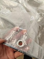 Bâche en PE transparente pour vergers de cerises agricoles