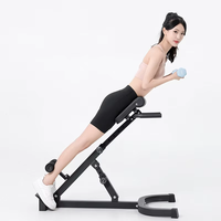 Support de fitness multifonctionnel, banc d'hyperextension réglable, machine d'extension du dos à 45 degrés, chaise romaine-pointes de chèvre