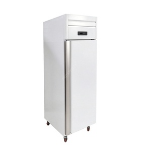 Réfrigérateur-congélateur professionnel à porte simple, refroidissement par air forcé, dégivrage automatique, acier inoxydable, compatible OEM, certifié Energy Star - Product Image 2