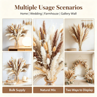 Pasokan Lintas Negara 100 Buket Seri Pampas Produsen Yunnan Bunga Kering Buatan Tangan DIY Mix & Match Grosir untuk Rumah