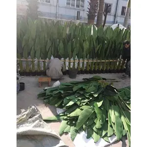 Недорогое растение 80 см в высоту с 6 искусственными листьями, мадагаскарское дерево, бонсай, искусственная Пальма для путешественников, для продажи