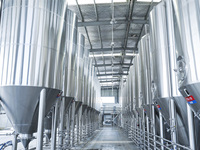 Cuve de Fermentation Automatique d'Alcool et de Bière en Acier Inoxydable SUS304 de Haute Qualité, Contrôlée par PLC, Capacités 5000L, 10000L, 20000L