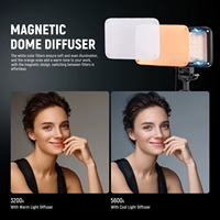 Kit d'éclairage vidéo LED bicolore dimmable NEEWER (lot de 2) avec panneaux lumineux portables, supports et filtres en plastique pour studio photo