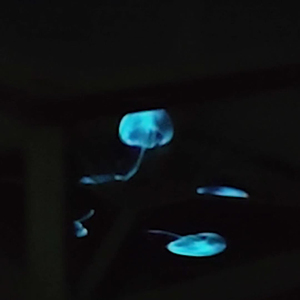 3D Câu Đố giáo dục thủ công Xây dựng đồ chơi khoa học dự án gốc Bộ dụng cụ 3D Holographic chiếu đèn - Product Image 3