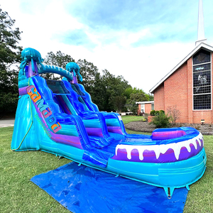 Tobogán Acuático Inflable Eléctrico de Grado Comercial para Niños de 22 pies con Forma de Medusa, Toboganes Acuáticos Inflables con Piscina para Jardín - Product Image 4