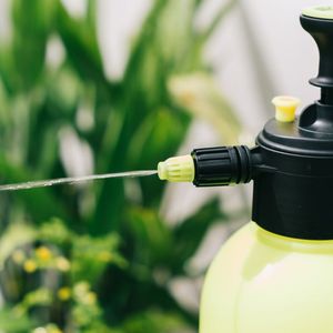 Machine de pulvérisation portative de <span class=keywords><strong>pulvérisateur</strong></span> de brouillard manuel de vente chaude 2L pour le jardin et l'agriculture du fabricant supérieur de <span class=keywords><strong>pulvérisateur</strong></span> - Product Image 3