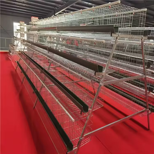 Nuevo <span class=keywords><strong>gallinero</strong></span> automático de acero galvanizado tipo H de Hebei, 80 kg, 15-20 años de vida útil, 5 años de garantía - Product Image 2