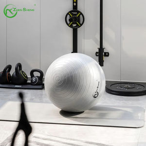 Zhensheng Anti-Burst Fabricante ODM OEM Promoción Entrenamiento Embarazo Pelota DE NACIMIENTO Pelota de yoga - Product Image 4