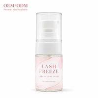 Spray Fixateur de Cils Lash Freeze pour Salons de Beauté, Fournitures d'Extensions de Cils, Vente en Gros en Marque Blanche Direct Usine