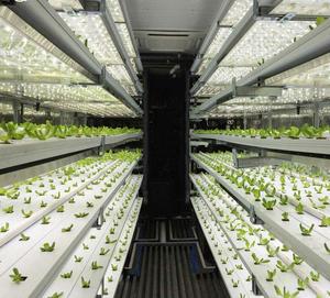 Ferme hydroponique verticale intelligente Sinok de 40 pieds, système d'agriculture verticale pour la culture de légumes à feuilles vertes, laitue, serre agricole Sk-1 - Product Image 5