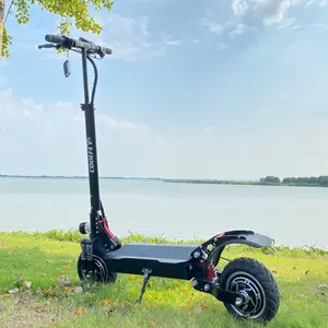 2024 alibaba hot sell powerful dual 1600w 10inch 48V wheel motor fast electric Scooters with removable battery