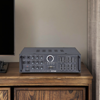 Penguat Audio penjualan terbaik penguat Mini Hifi Equalizer Stereo 2 saluran 20 watt untuk rumah