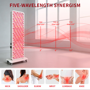 Appareil de luminothérapie infrarouge pour le visage et le corps entier REDSKY, panneau de luminothérapie rouge LED pour spa, salon, clinique, <span class=keywords><strong>beauté</strong></span> - Product Image 2