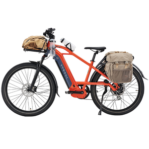 Vélo électrique léger 48V 750W pour adultes, fabriqué en Chine par Lazy Bear - Product Image 1