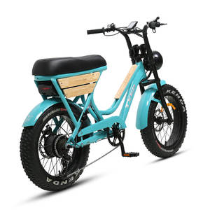 Bicicleta Eléctrica TXED E Nature Tour F 250W 48V con Motor de Cubo Trasero, Bicicleta Eléctrica para Mujer con Freno Mecánico, Bicicleta Eléctrica con Llantas Gruesas - Product Image 3