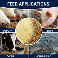 Vitamine E 50% de qualité alimentaire en vrac 25 kg pour prémélange d'aliments pour animaux, stock entrepôt USA, directement de l'usine