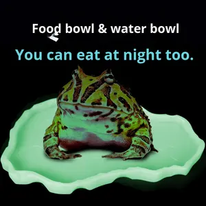 Bol d'eau et de nourriture en plastique arrondi pour reptiles, lézard, tortue, gecko, scorpion, araignée, <span class=keywords><strong>hamster</strong></span>, hermite, lézard, lézard ermite, léger - Product Image 2