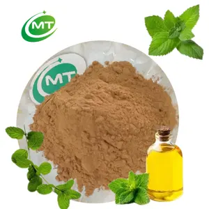 Free Sample Natural Organic Factory Supply Mentha Haplocalyx Extract High Quality 10:1 Peppermint Extract