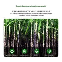 Supports de tasses jetables biodégradables en pulpe avec poignée pour café et thé au lait à emporter – Vente en gros