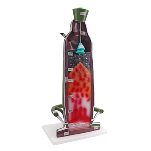 Mô hình lò cao Thiết bị giáo dục của loại vị trí dựng đứng Mô hình cấu trúc bên trong của lò luyện gang - Product Image 2