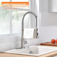 Robinet de cuisine à double ressort, design à montage sur plan, avec douchette extractible
