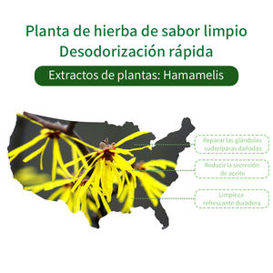 Botella vendedora caliente Limpieza <span class=keywords><strong>de</strong></span> <span class=keywords><strong>axilas</strong></span> Tratamiento <span class=keywords><strong>de</strong></span> olor peculiar Eliminación <span class=keywords><strong>de</strong></span> <span class=keywords><strong>desodorante</strong></span> en aerosol - Product Image 6