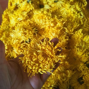 סיטונאי טבעי פרח תה מיובש טרי בריא זהב קיסר חרצית מחיר תה סין - Product Image 5