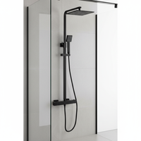 Mitigeur de douche thermostatique en acier inoxydable, robinet de douche apparent européen pour salle de bain